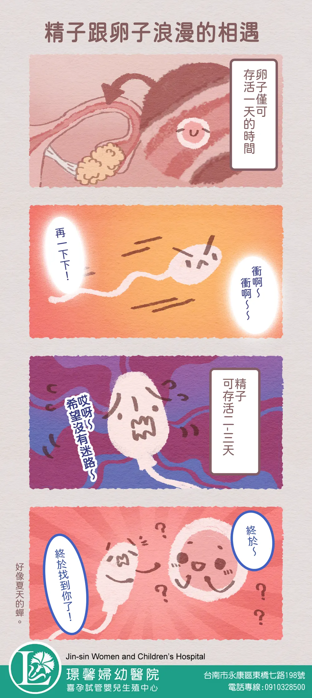 喜孕 備孕漫畫：精子跟卵子浪漫的相遇